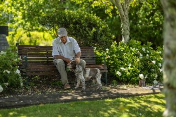 20241206AucklandMemorialParkAndCemetary(165of227)