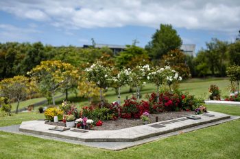 20241206AucklandMemorialParkAndCemetary(88of227)