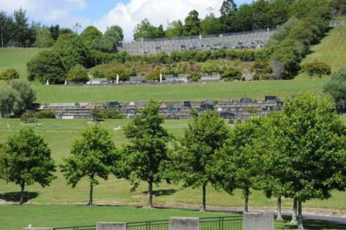 All-the-terraces-2-1-1024x681-640x480