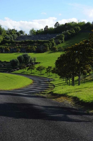 GEX_1402-681x1024-640x480