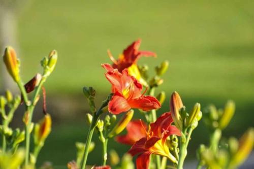 GEX_1430-1024x681-640x480