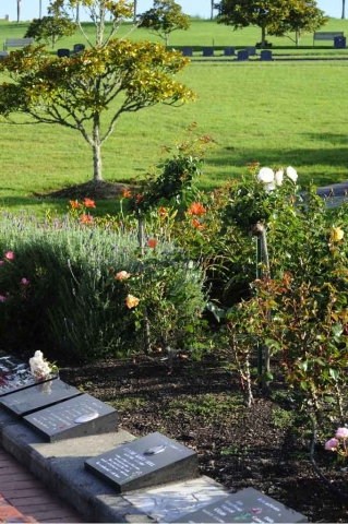 GEX_1432-681x1024-640x480