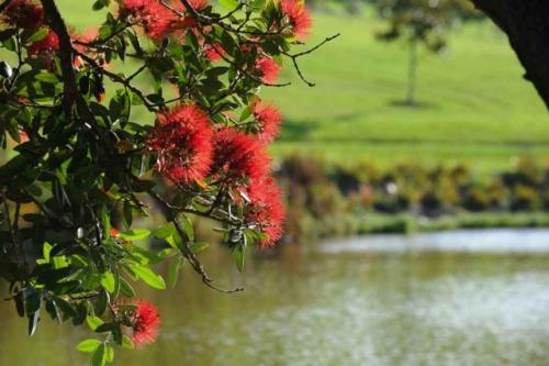 GEX_1456-1024x681-640x480