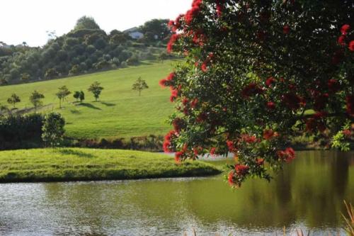 GEX_1472-1024x681-640x480