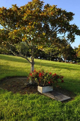 GEX_1487-1-681x1024-640x480