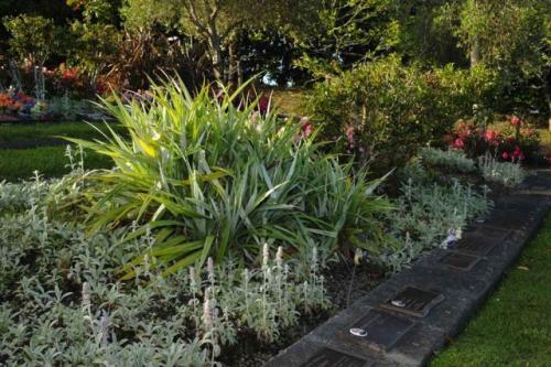 GEX_1489-1024x681-640x480