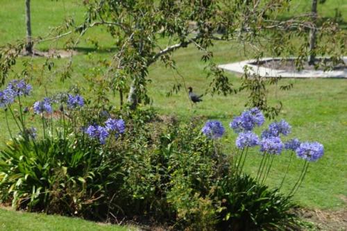 GEX_1642-1024x681-640x480