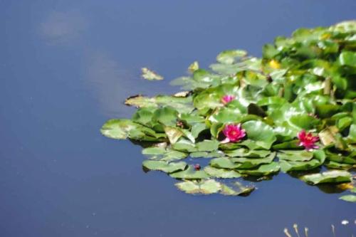 GEX_1644-1024x681-640x480