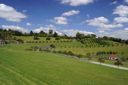 GEX_1675-1024x681-640x480