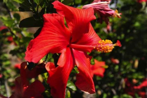 GEX_1683-1024x681-640x480