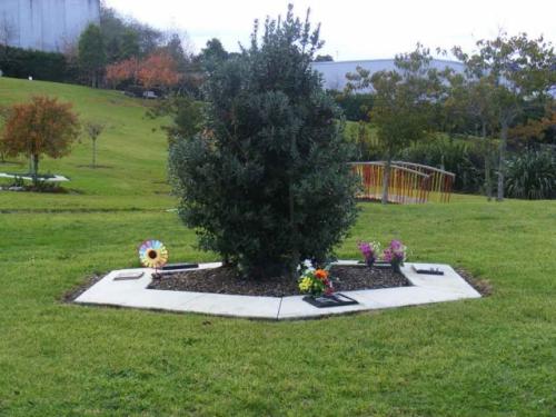 I-took-this-1-1024x768-640x480