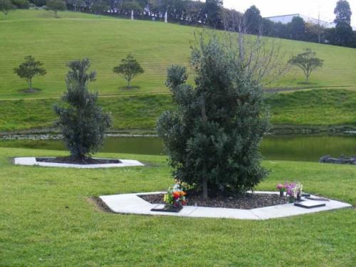 I-took-this-2-1024x768-640x480