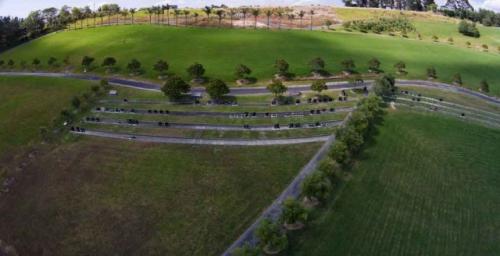 Memorial-parkDJI00147-2-1024x524-640x480